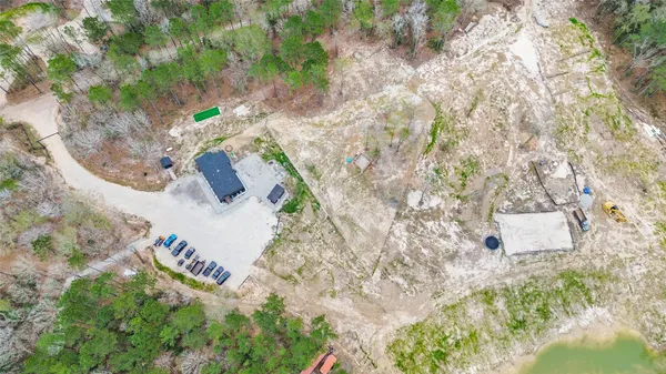 a view of a tree in a yard
