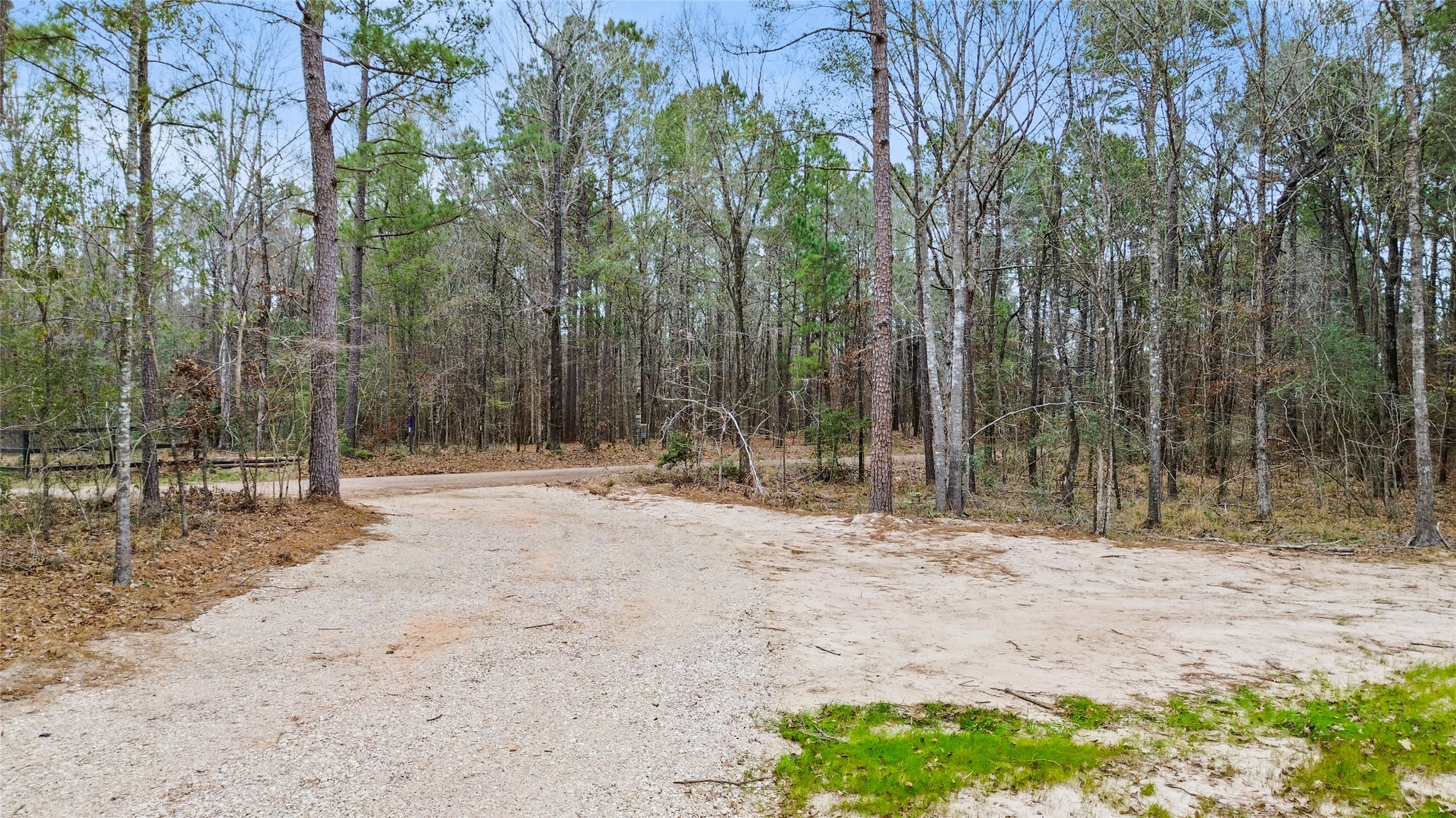 180 Jordan Road Point Blank, TX 77364 - Photo 30 of 38 a view of a yard with trees