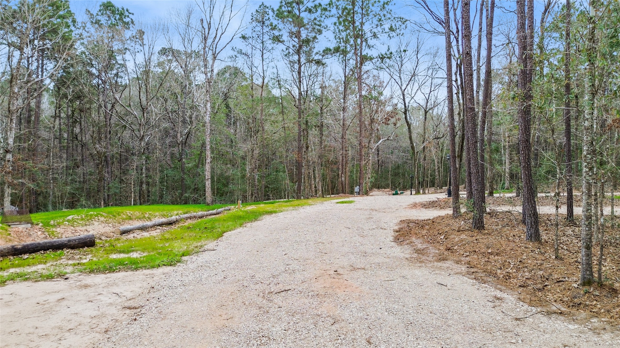 180 Jordan Road Point Blank, TX 77364 - Photo 31 of 38 a backyard of a house with lots of green space