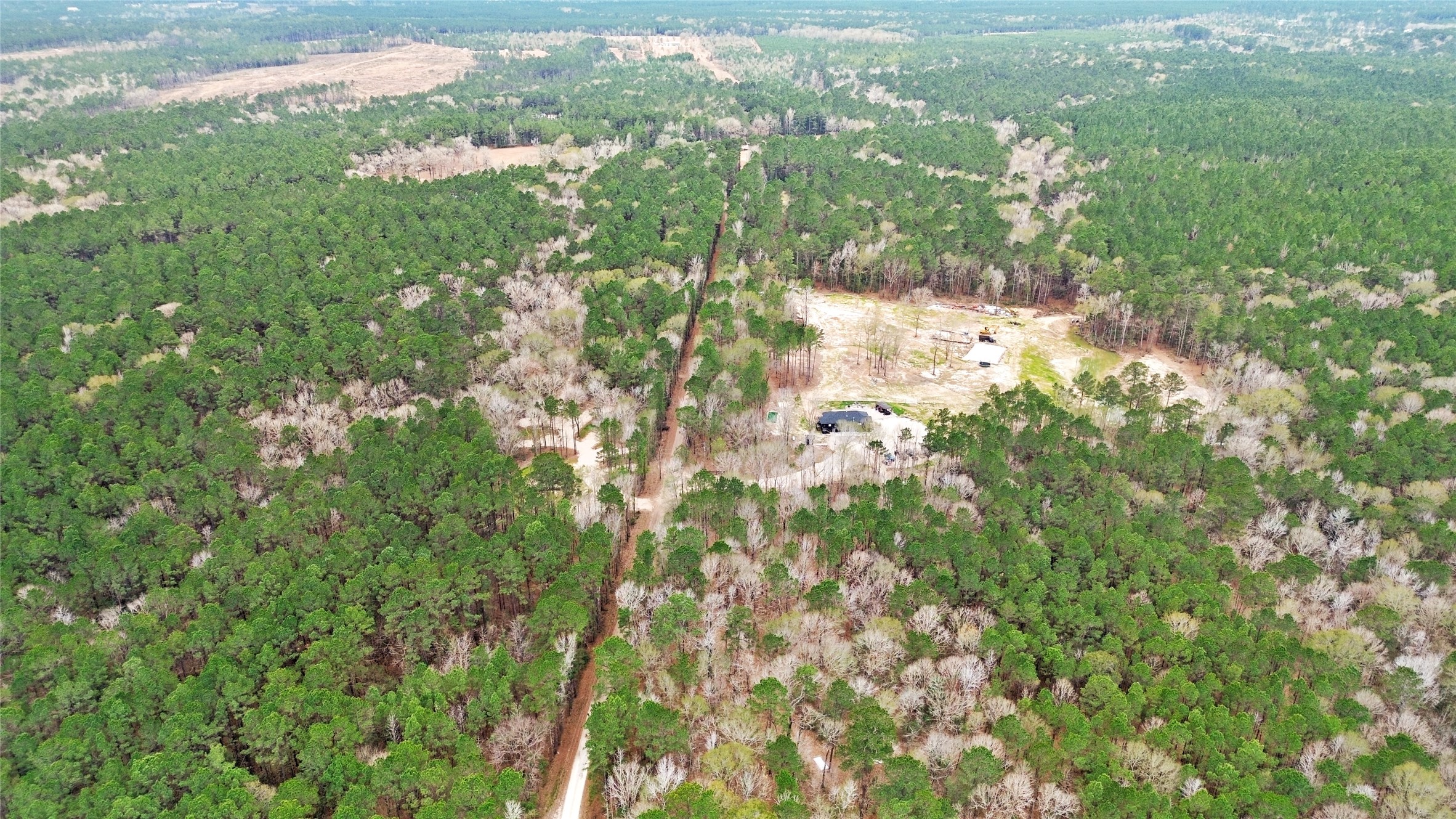 180 Jordan Road Point Blank, TX 77364 - Photo 37 of 38 a view of a yard