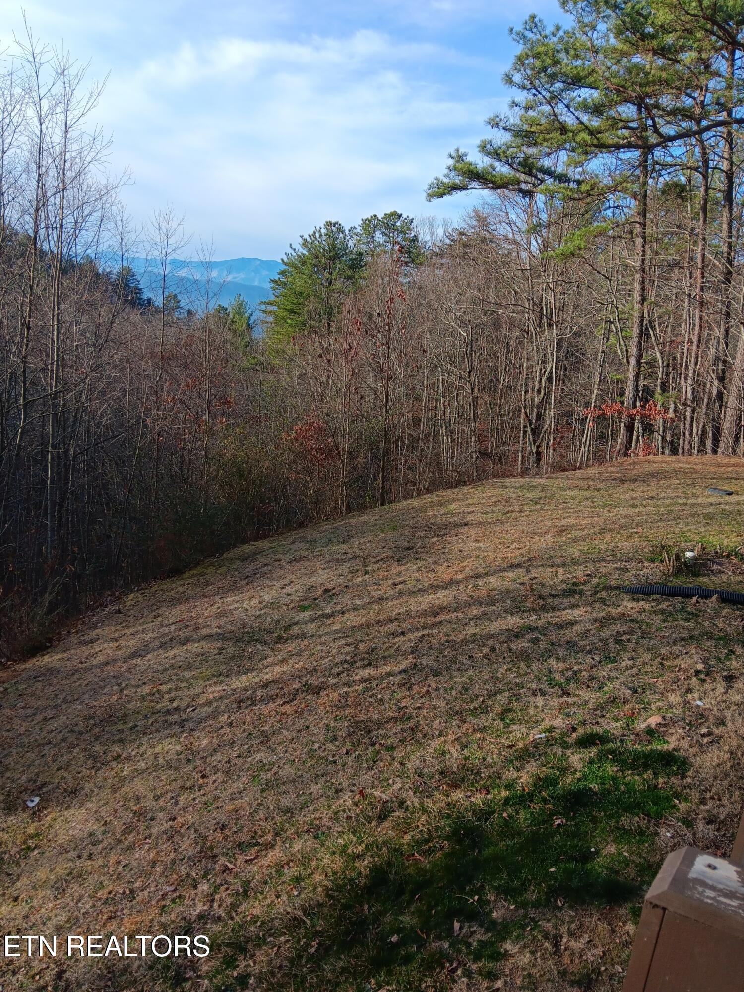 1081 Cove Road, Unit 1011 Sevierville, TN 37876 - Photo 17 of 31 1