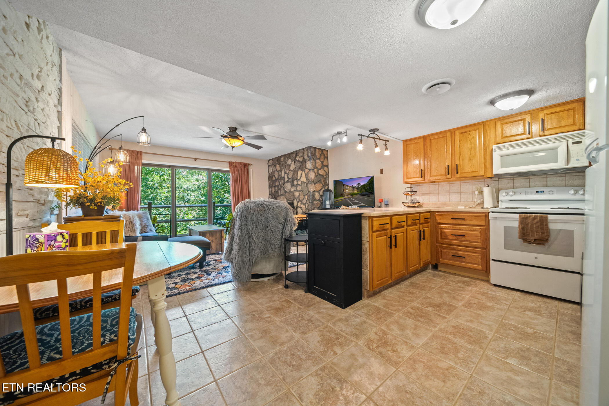 1081 Cove Road, Unit 1011 Sevierville, TN 37876 - Photo 2 of 31 dsc00671