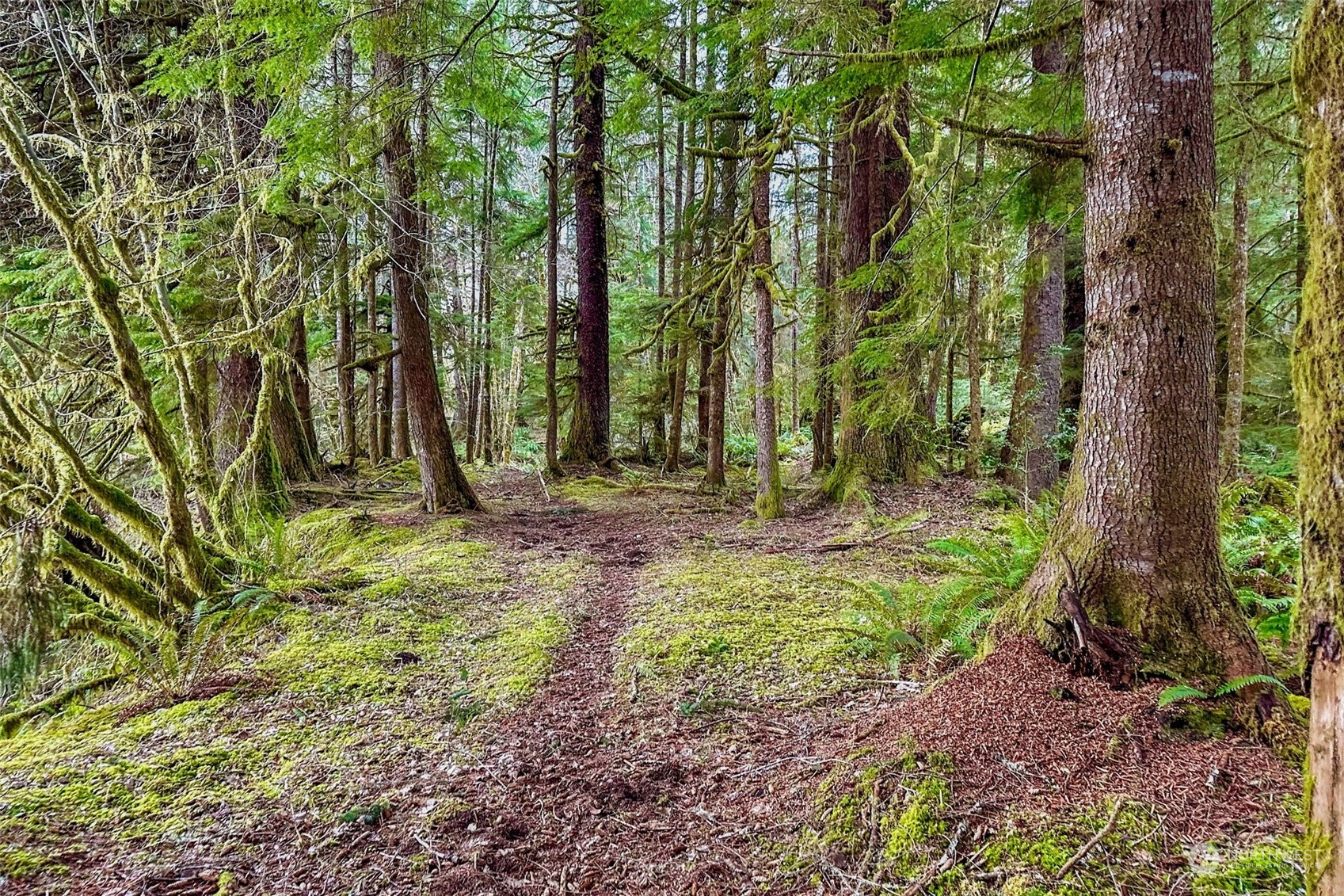 -pcl North River Road Cosmopolis, WA 98537 - Photo 12 of 18 Gallery Image 12