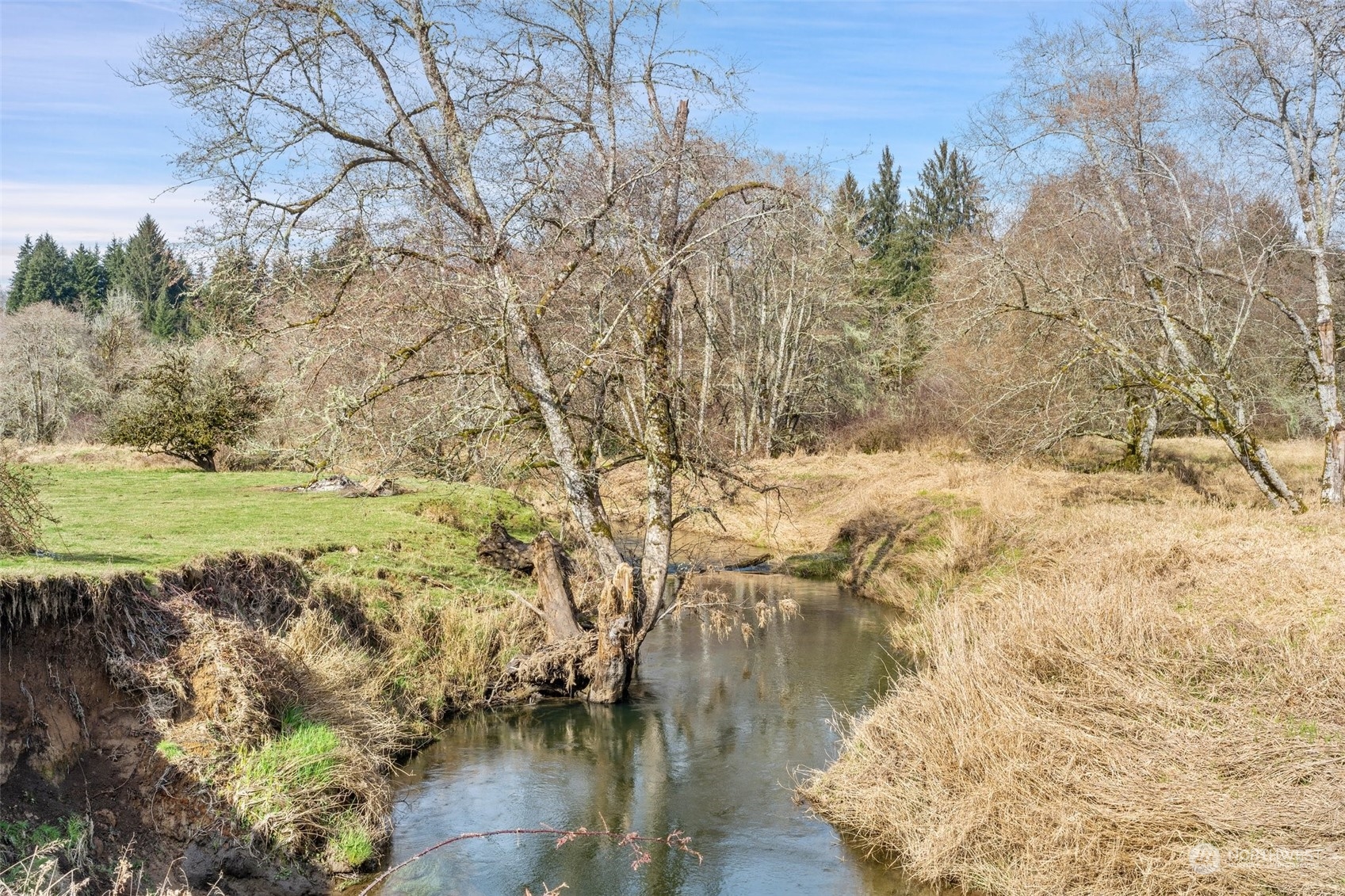-pcl North River Road Cosmopolis, WA 98537 - Photo 8 of 18 Gallery Image 8