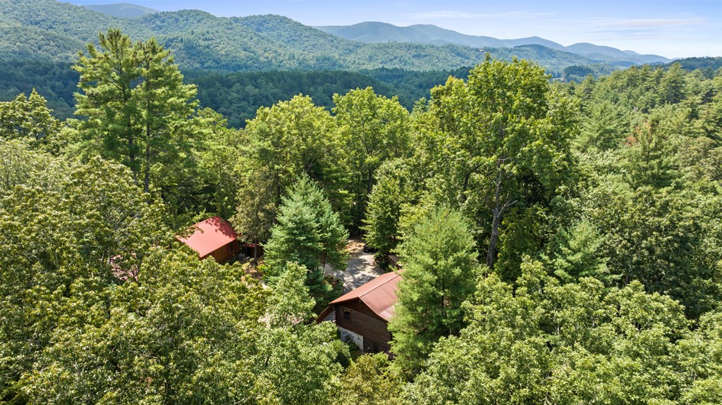 9 North Candice Court Blue Ridge, GA 30513 - Photo 33 of 34 a view of a lush green forest with mountains in the background