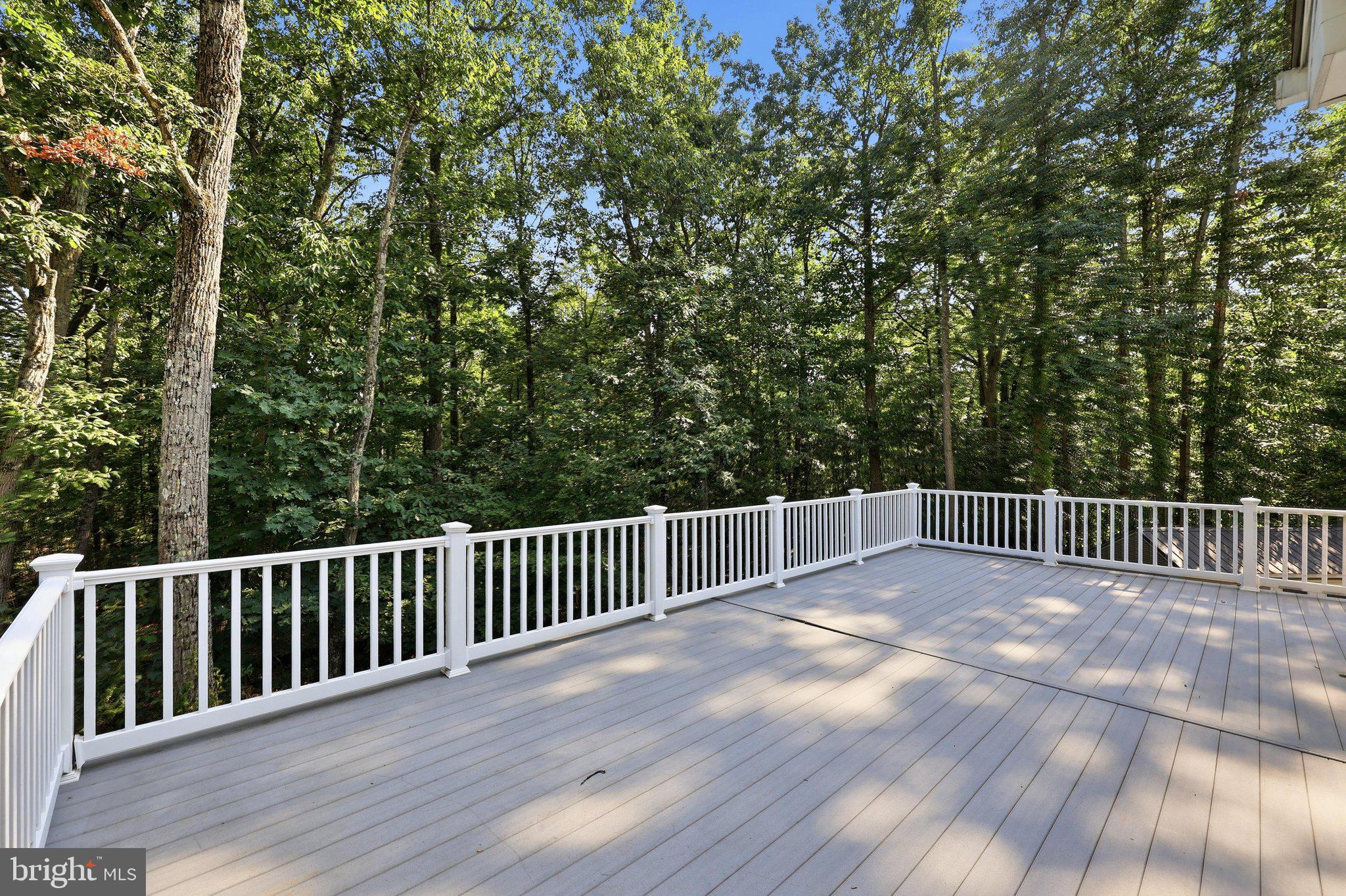 10029 Pine Tree Road Woodsboro, MD 21798 - Photo 21 of 51 Step Outside to Grill Here!