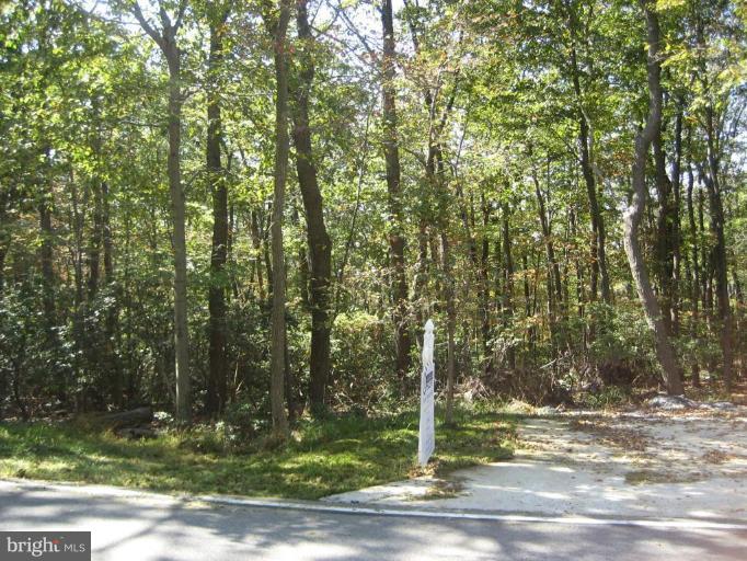 9490 Gambrill Park Road Frederick, MD 21702 - Photo 1 of 1 a view of a yard with a tree