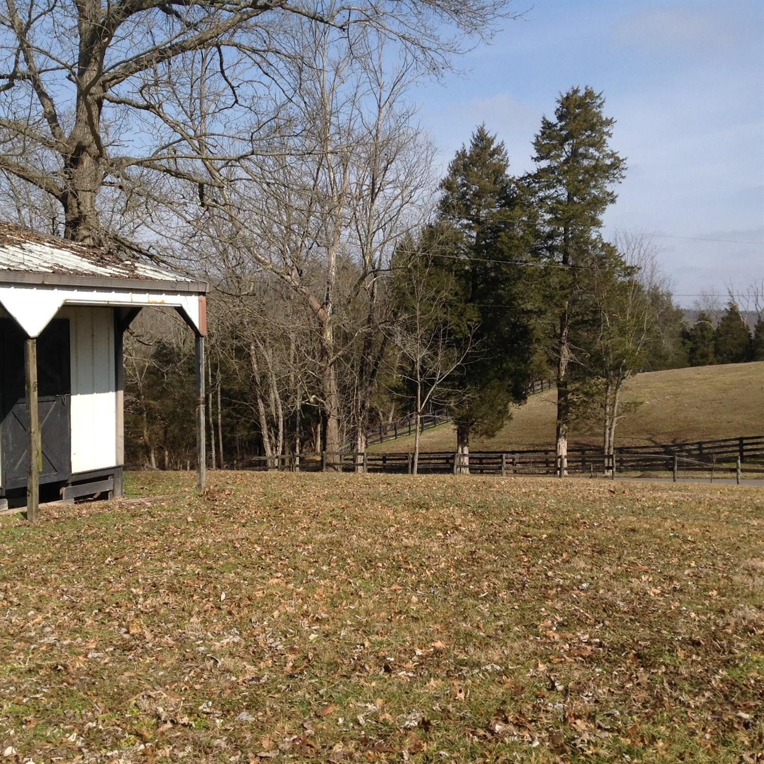 2435 Hifner Road Versailles, KY 40383 - Photo 36 of 51 Photo 49