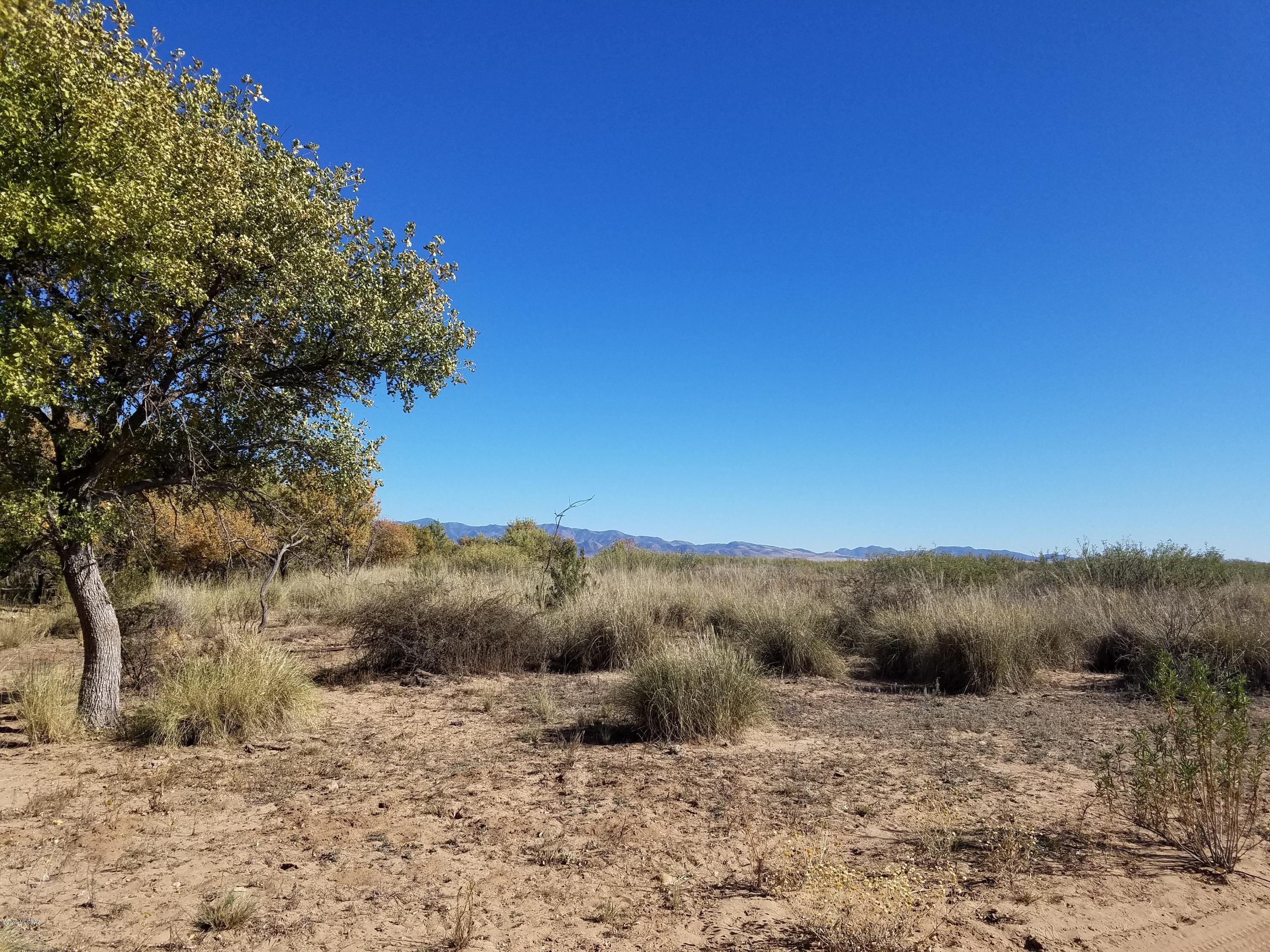 South Catclaw Road, Unit 320 Pearce, AZ 85625 - Photo 25 of 49