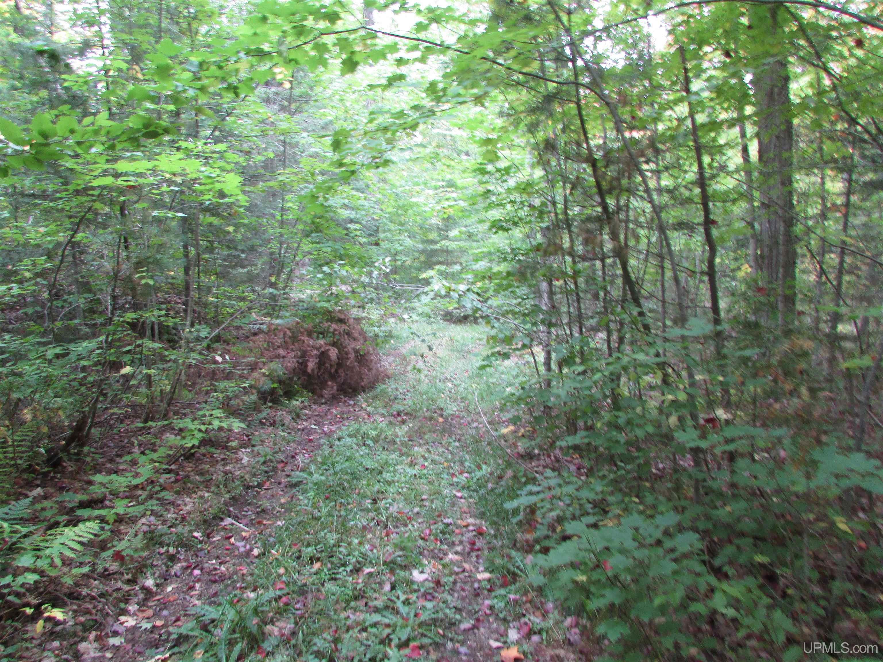 19337 Clear Lake Road Michigamme, MI 49861 - Photo 26 of 50 Gallery Image 26