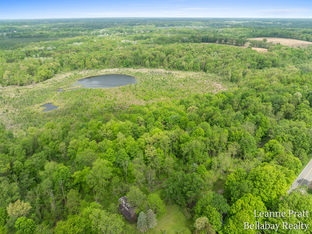 Vl Hutchinson Road Dowling, MI 49050 - Photo 8 of 9 12950-Hutchinson_206