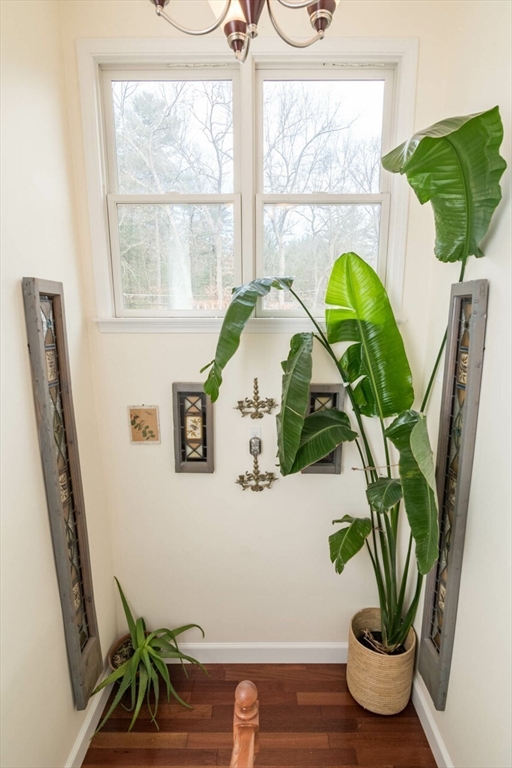 37 Plain Road Westford, MA 01886 - Photo 20 of 42 Gallery Image 20