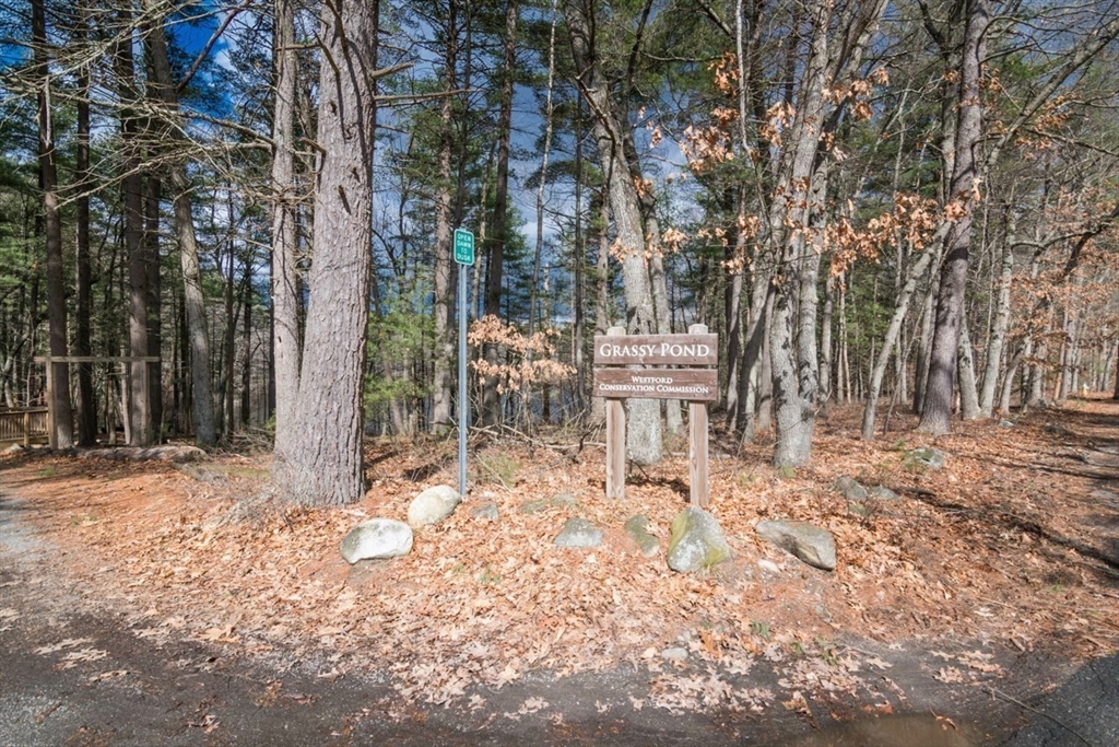 37 Plain Road Westford, MA 01886 - Photo 42 of 42 Gallery Image 42