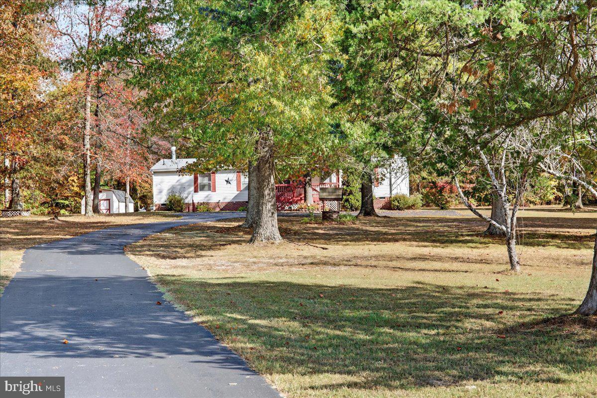 220 Chalklevel Road Louisa, VA 23093 - Photo 17 of 63 a view of road with large trees