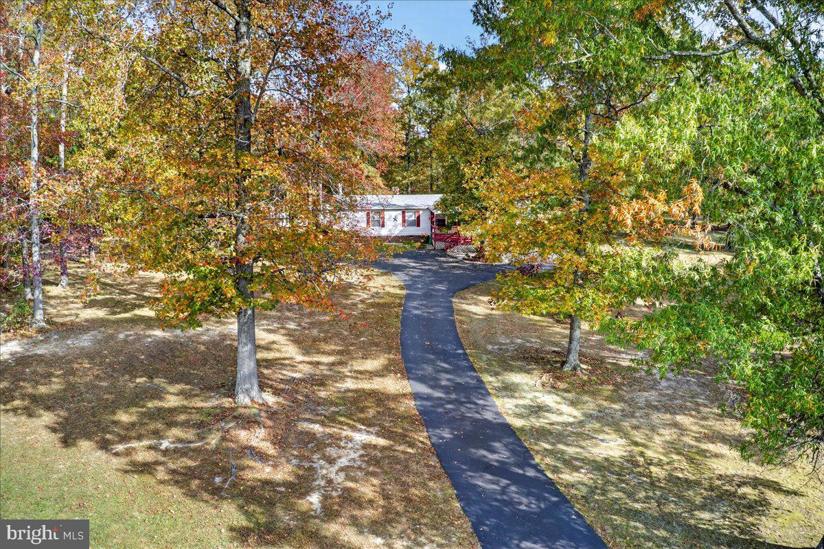 220 Chalklevel Road Louisa, VA 23093 - Photo 19 of 63