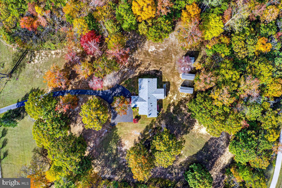 220 Chalklevel Road Louisa, VA 23093 - Photo 23 of 63
