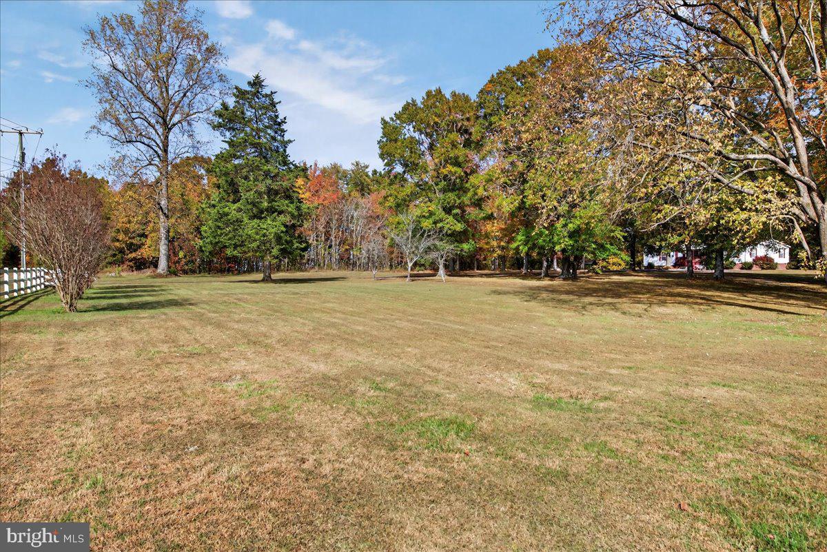 220 Chalklevel Road Louisa, VA 23093 - Photo 5 of 63 a view of a field with trees in front of it
