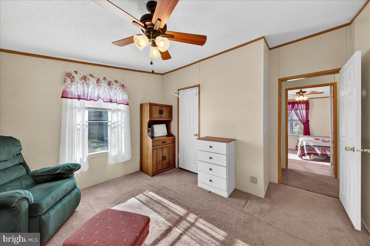 220 Chalklevel Road Louisa, VA 23093 - Photo 54 of 63 a bedroom with furniture and a chandelier