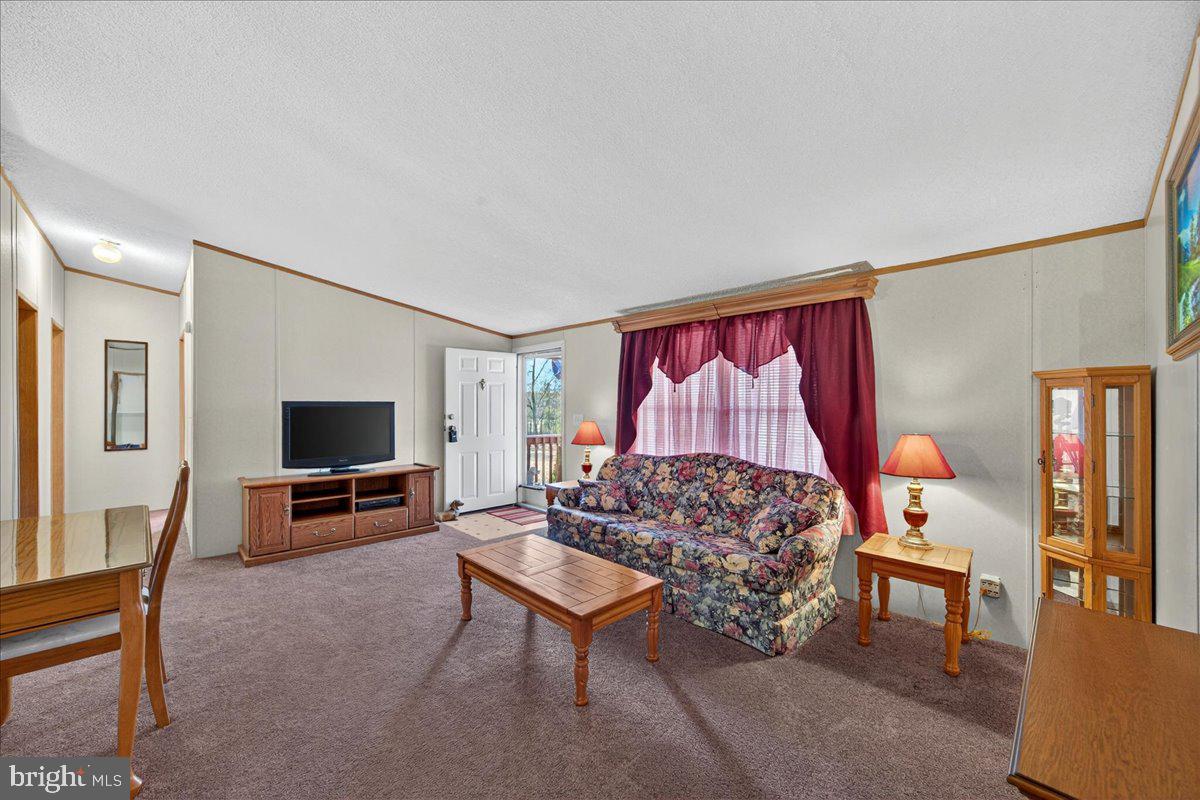220 Chalklevel Road Louisa, VA 23093 - Photo 60 of 63 a living room with furniture and a flat screen tv