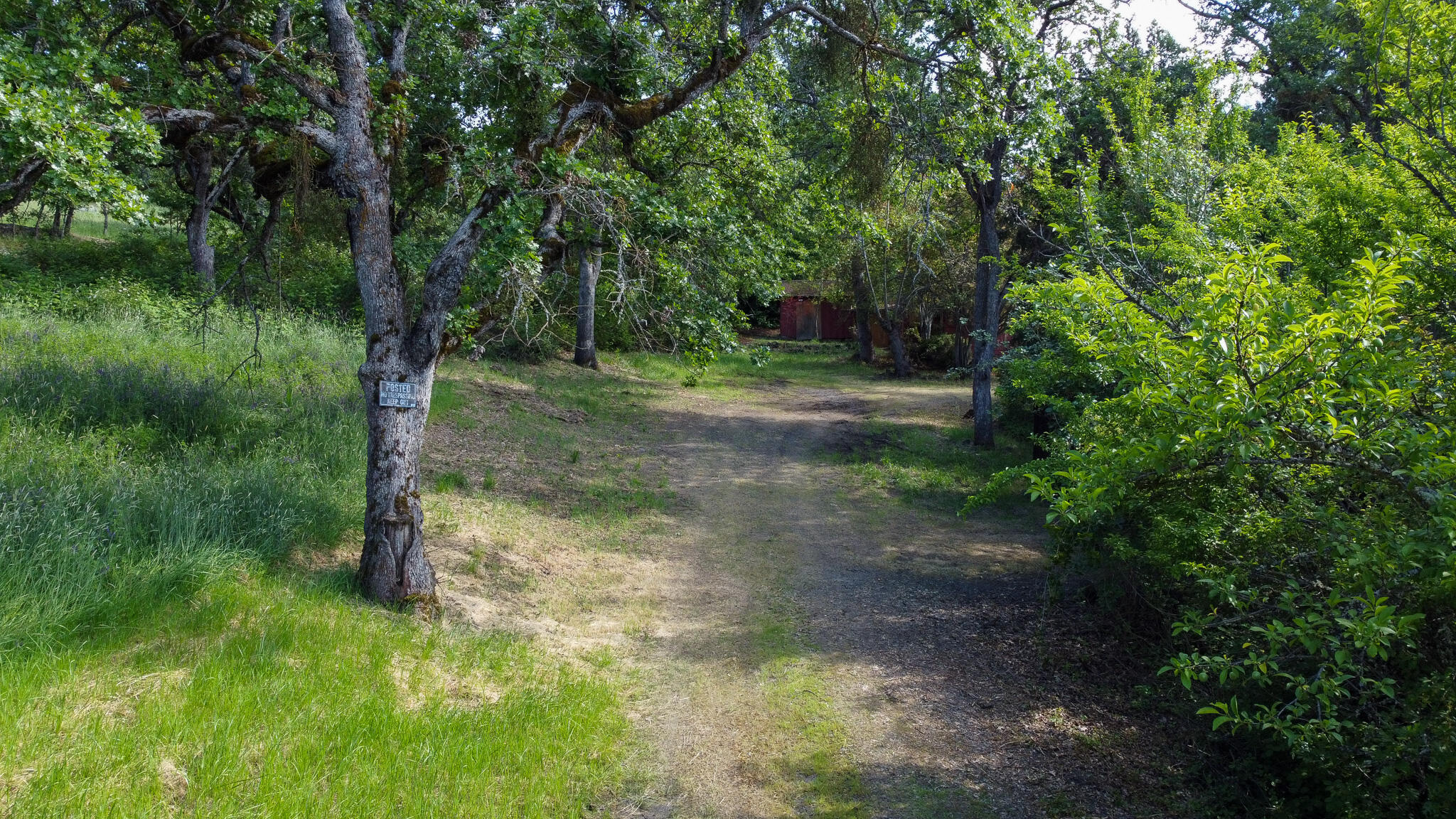 2616 North Foothill Road Medford, OR 97504 - Photo 1 of 8 Drive to site