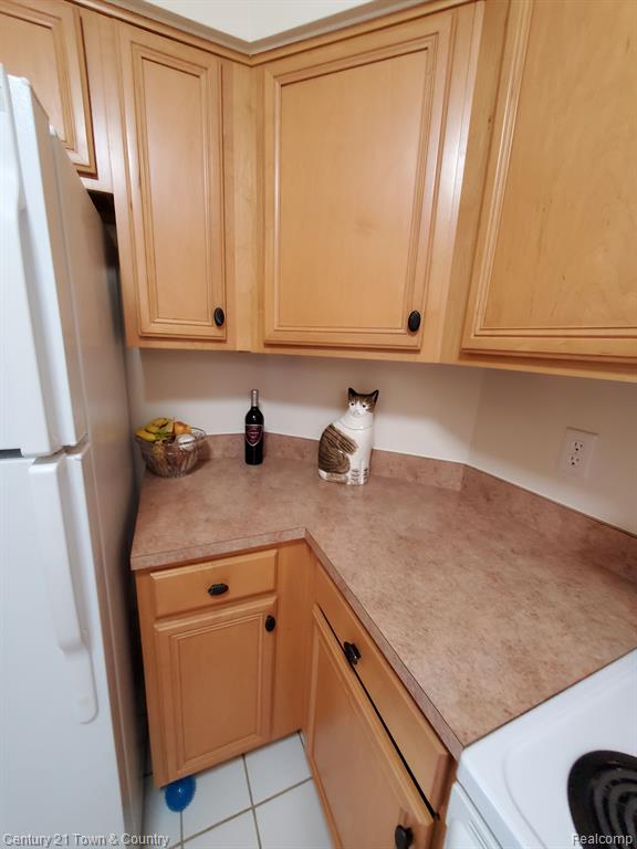 1650 River View Drive, Unit #38 Rochester Hills, MI 48307 - Photo 11 of 33 Gallery Image 11