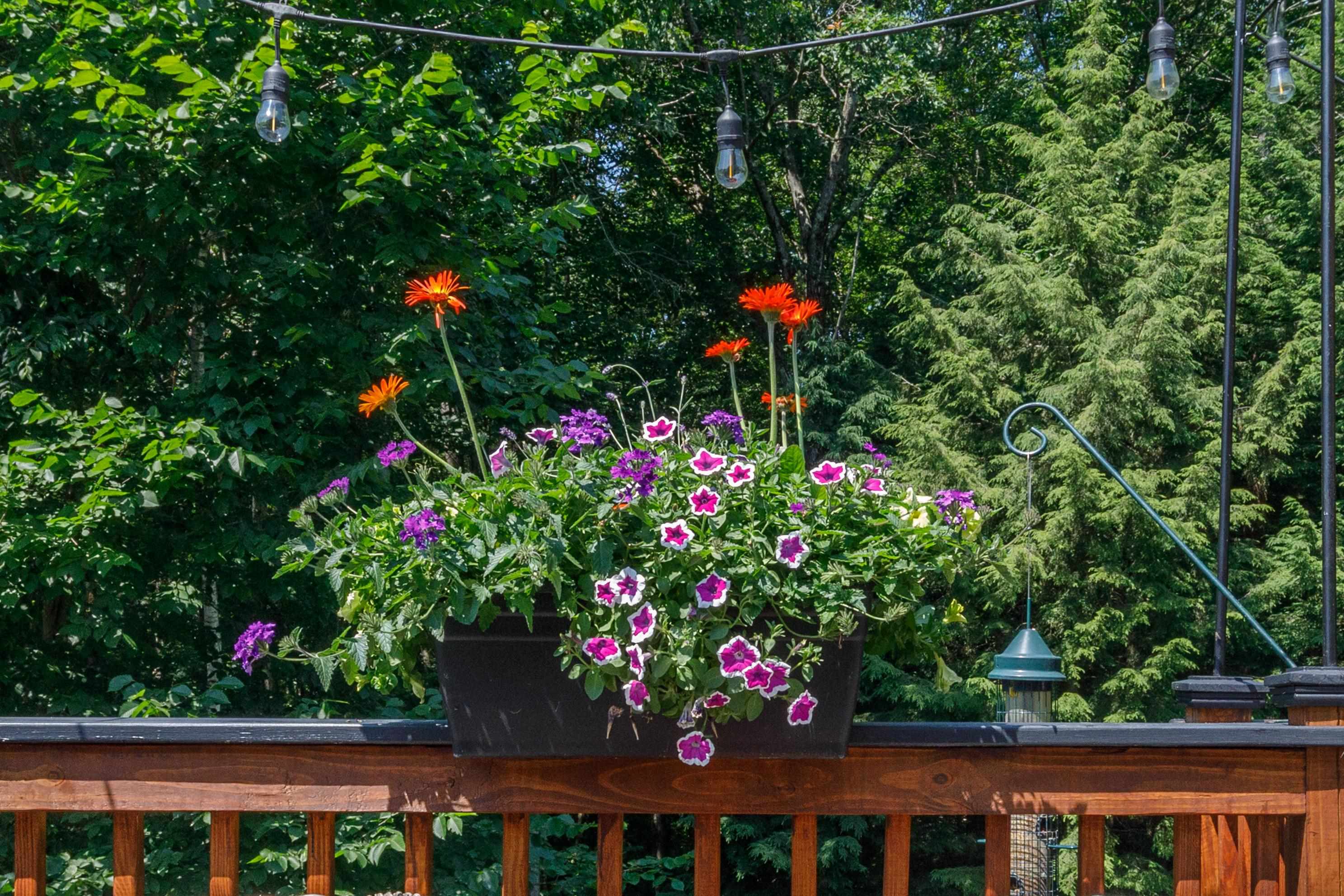 9 Styles Drive Concord, NH 03301 - Photo 44 of 46