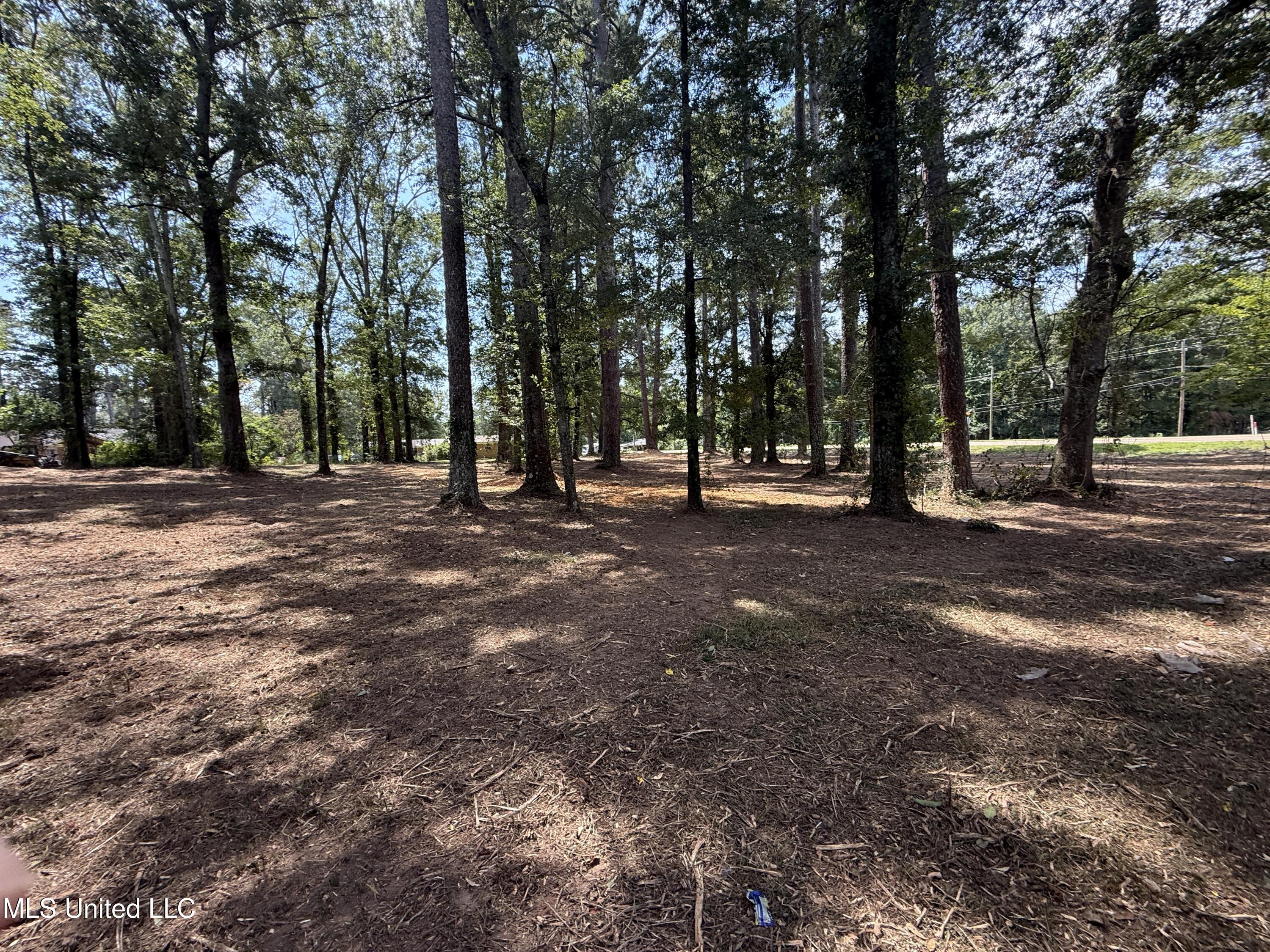 1 35th Highway Carthage, MS 39051 - Photo 11 of 18 DAD148A2-409F-42A0-BA6F-53A645AB115A