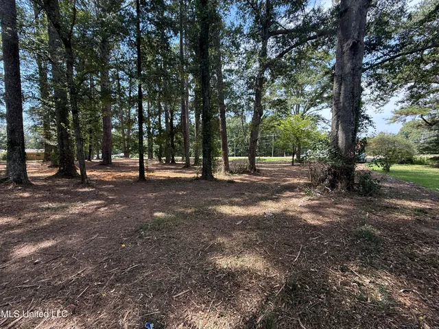 $125,000 | 1 35th Highway, Carthage, MS 39051