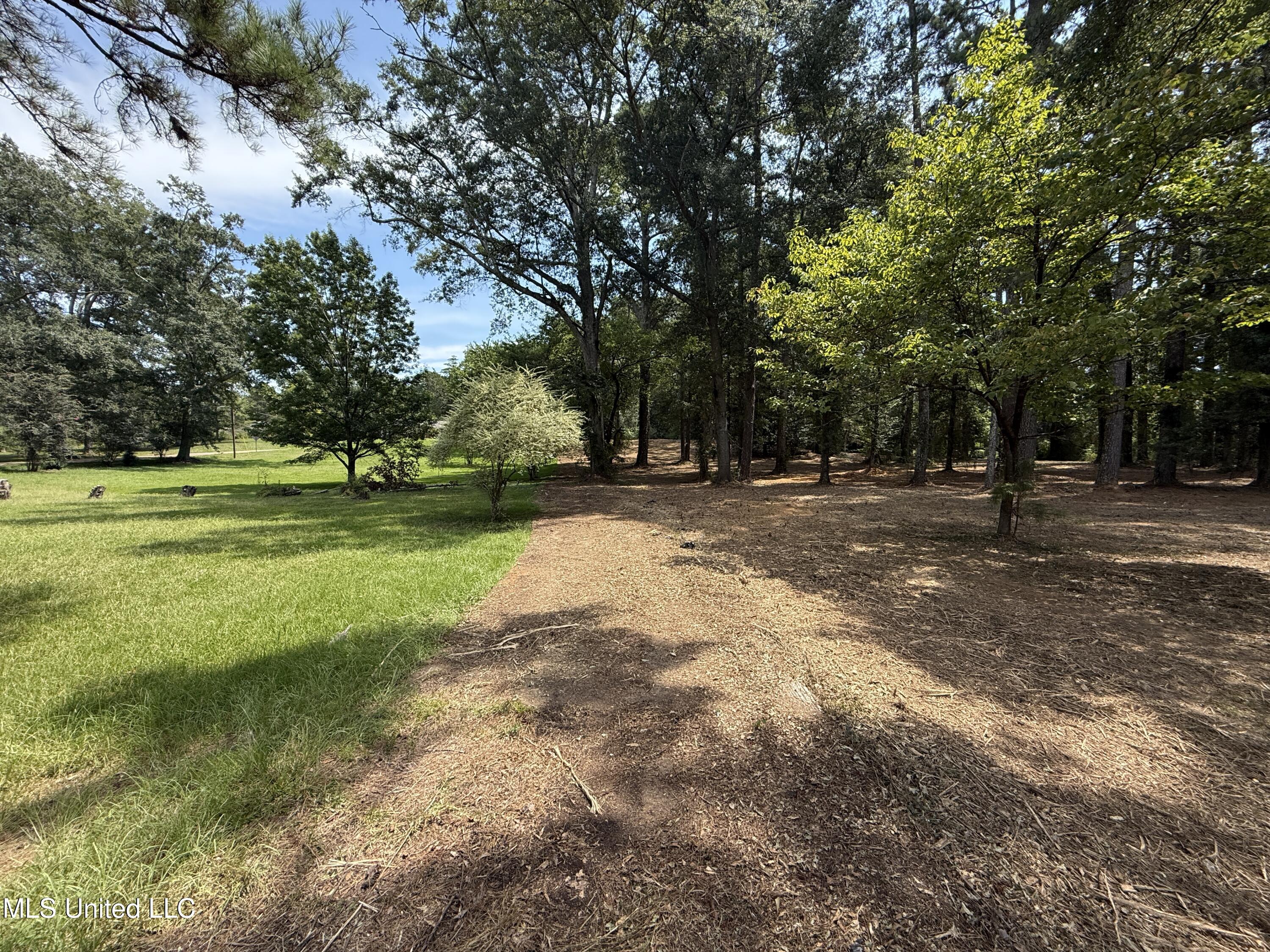 1 35th Highway Carthage, MS 39051 - Photo 13 of 18 34DE7F19-F938-4D5B-9744-B6E4EDF57743