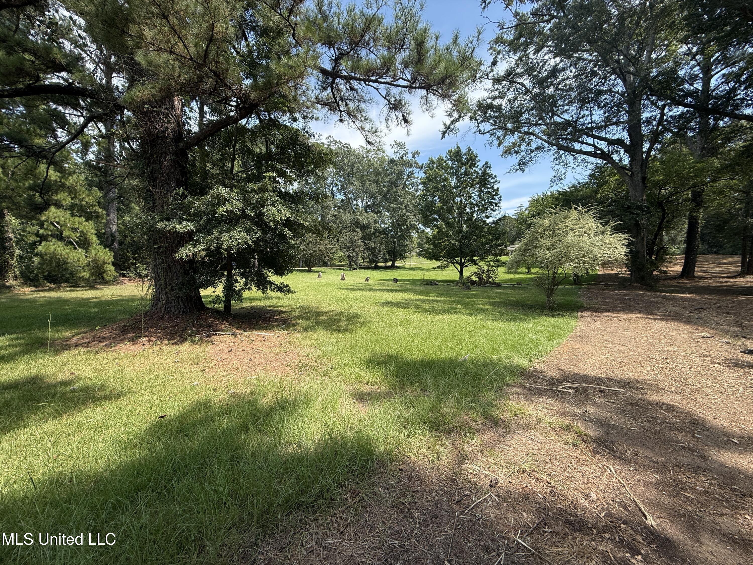 1 35th Highway Carthage, MS 39051 - Photo 14 of 18 D66C3547-F90B-4085-9520-6B2D47E4A05E
