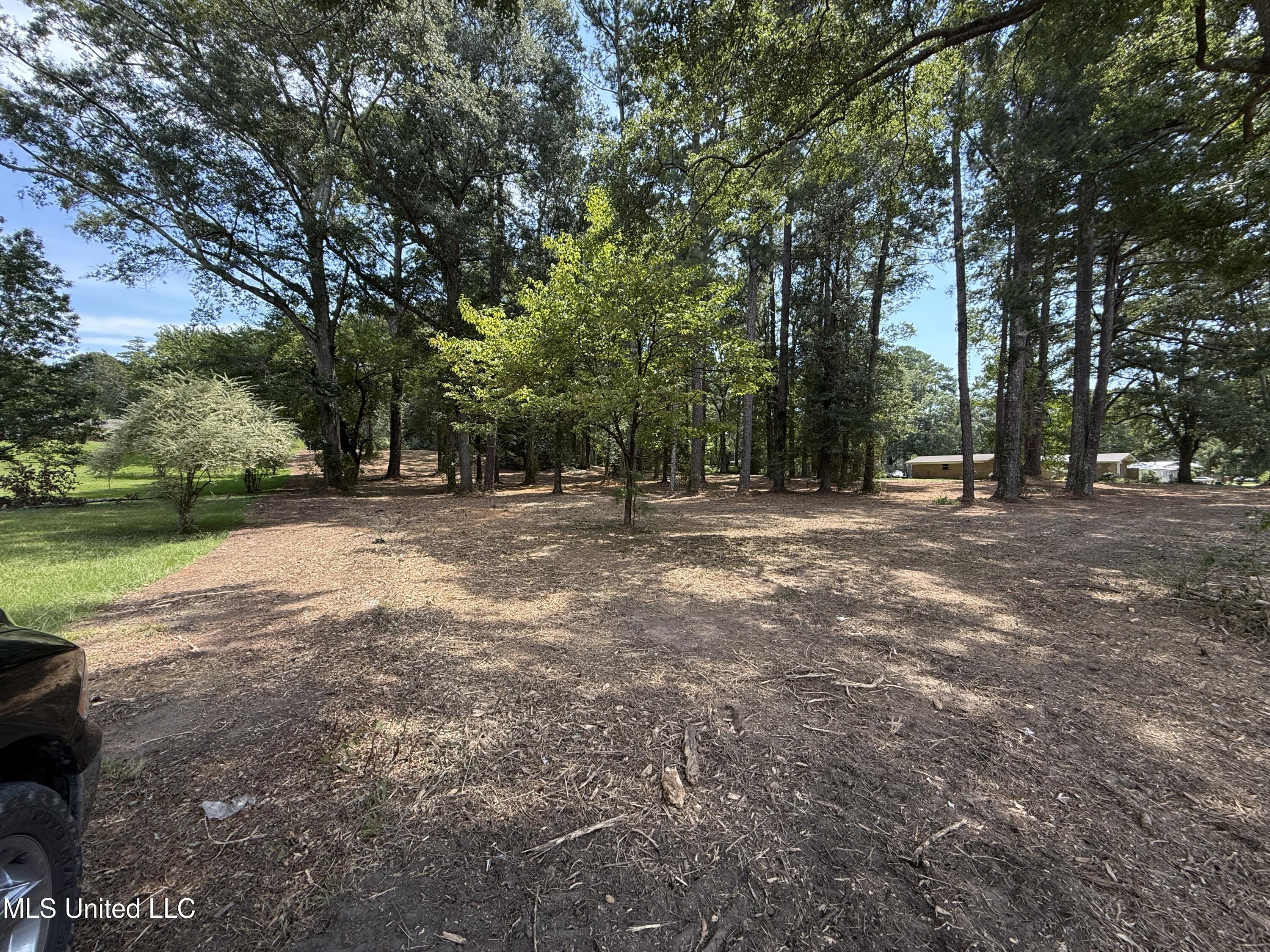 1 35th Highway Carthage, MS 39051 - Photo 17 of 18 024253E3-3811-4118-80CF-9875D12FE2F8
