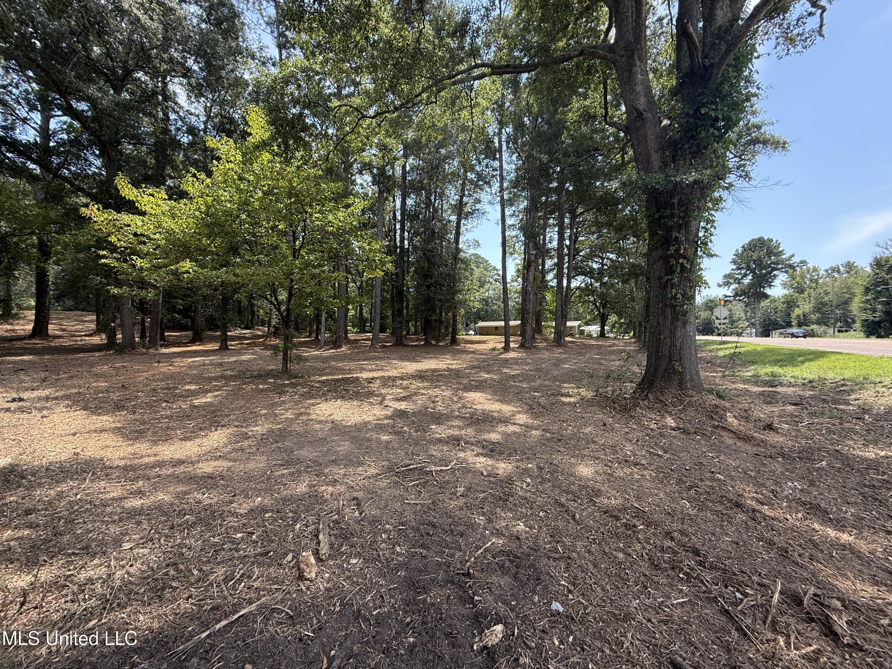 1 35th Highway Carthage, MS 39051 - Photo 18 of 18 558971DF-FC9F-4DD5-A1F2-264804390EE4