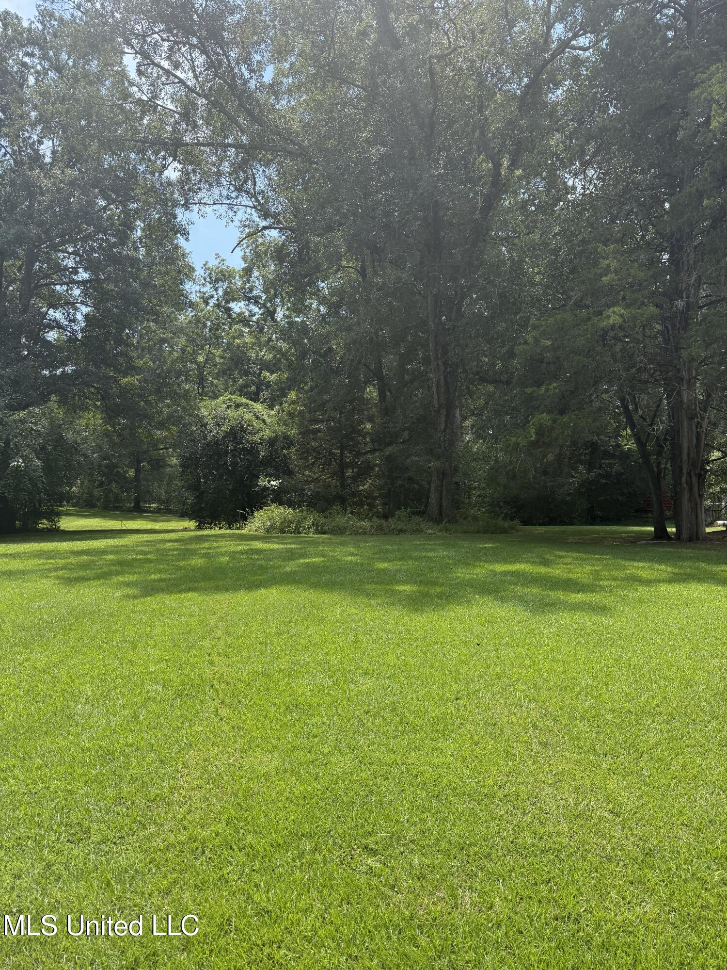 1 35th Highway Carthage, MS 39051 - Photo 2 of 18 D166E5A8-5BAA-43E3-9BDF-6B3418384E58_1_2