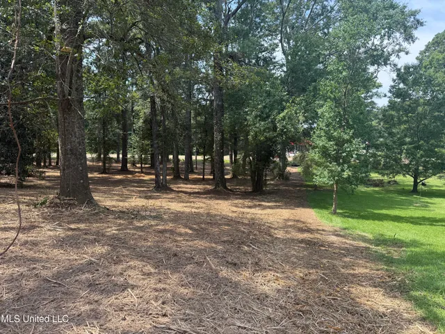 $125,000 | 1 35th Highway, Carthage, MS 39051