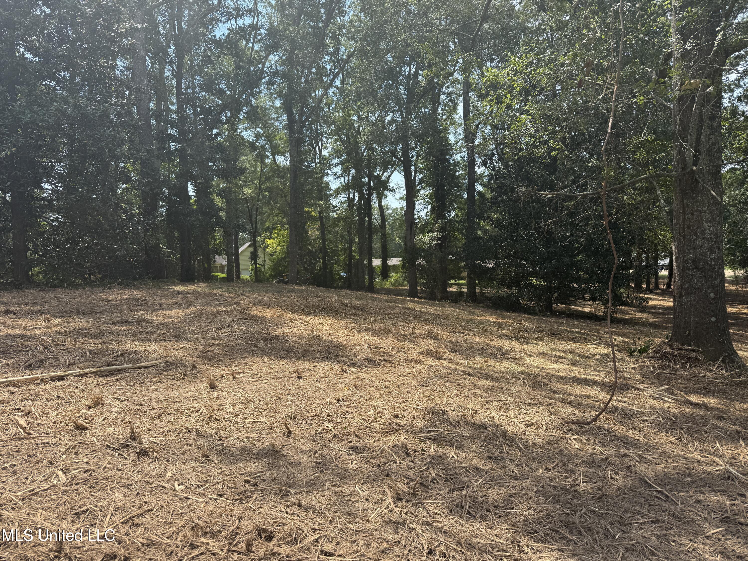 1 35th Highway Carthage, MS 39051 - Photo 5 of 18 5DA4B7F9-7665-4D33-9A3A-6A53FEB33EB0