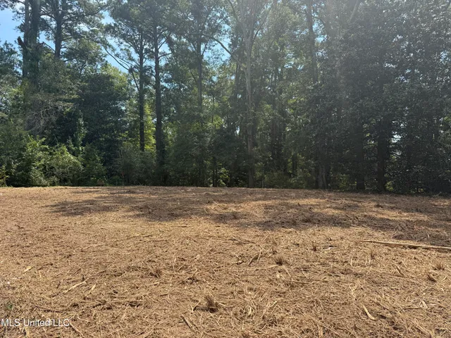 $125,000 | 1 35th Highway, Carthage, MS 39051