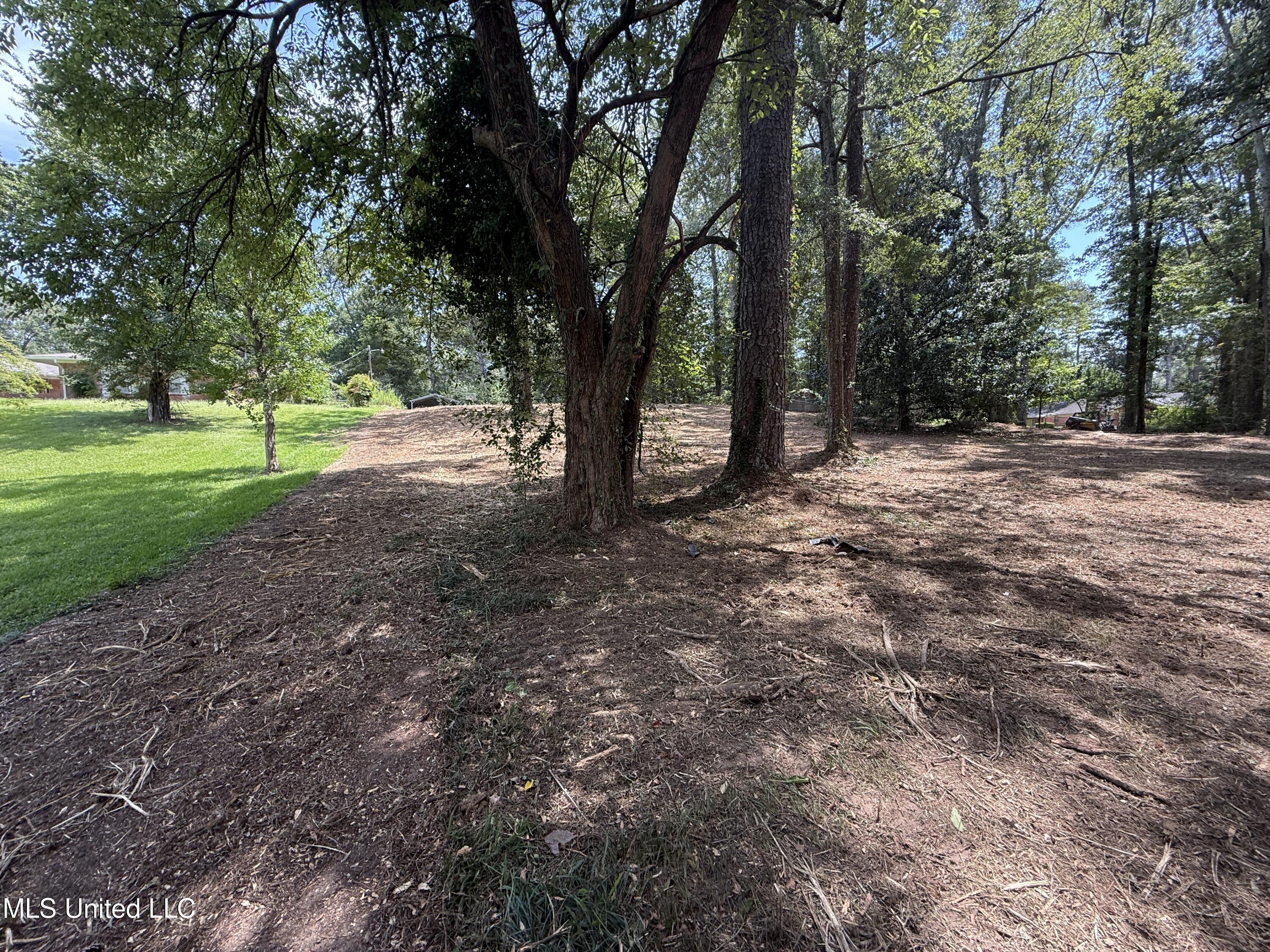 1 35th Highway Carthage, MS 39051 - Photo 10 of 18 87FCD1AF-D6A6-4884-A92A-82766098B71B