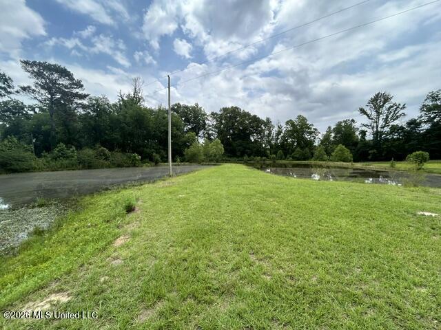 2096 Swilley Road Wesson, MS 39191 - Photo 70 of 86 IMG_4342