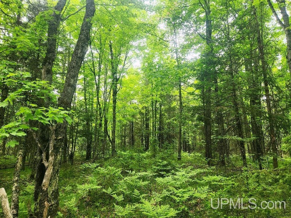 Lot 5 Wilderness Way Road Crystal Falls, MI 49920 - Photo 18 of 25