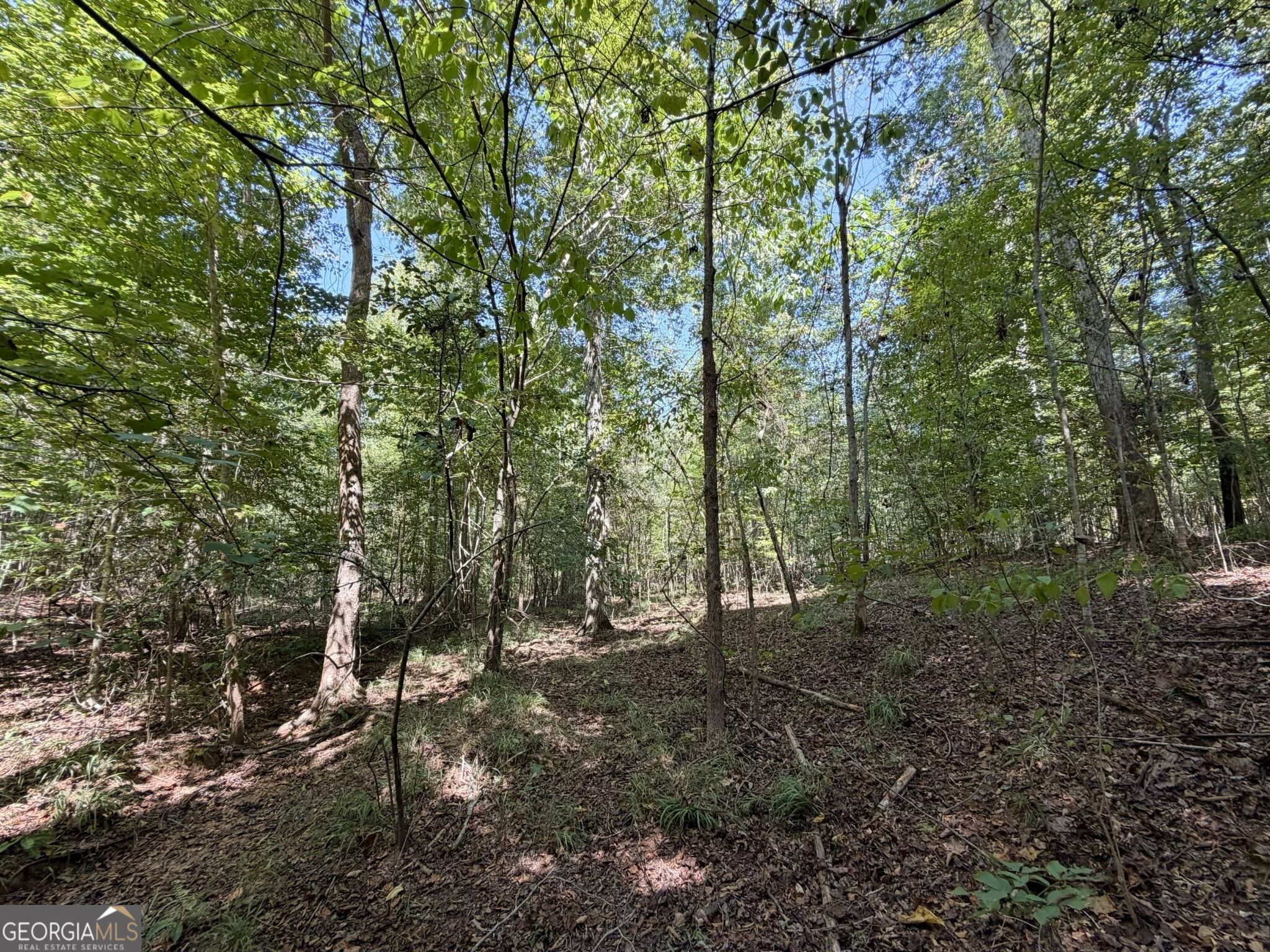 11 Bunch Road Tignall, GA 30668 - Photo 33 of 81 Gallery Image 33