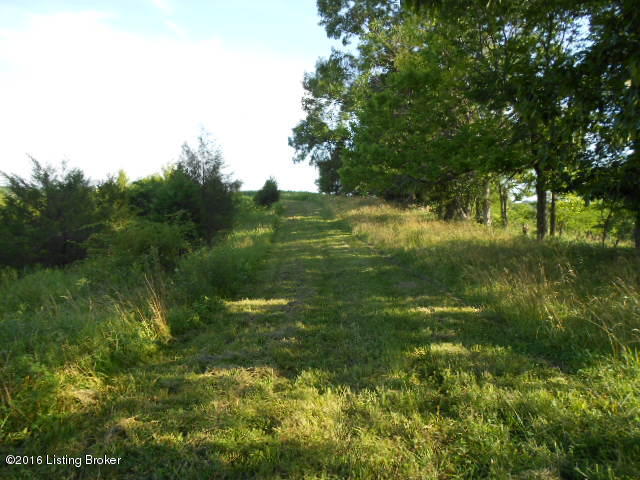 DSCN0515