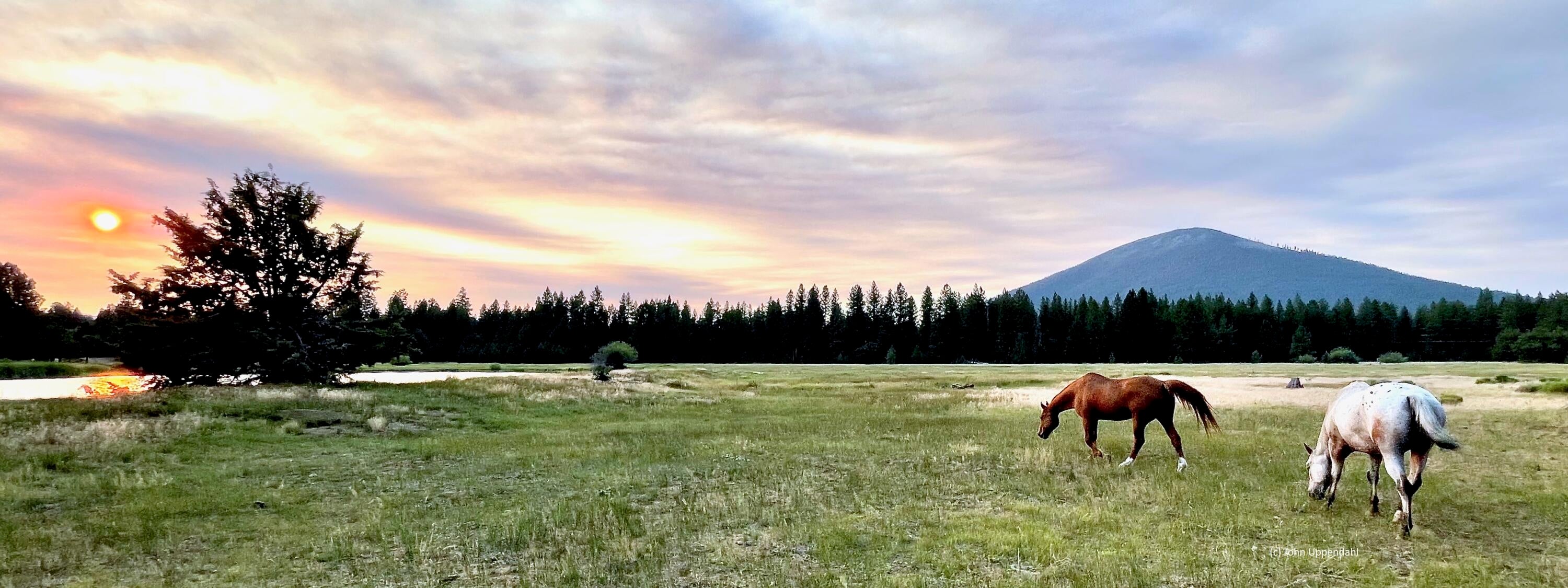 70331 Willow Herb, Unit GM205 Black Butte Ranch, OR 97759 - Photo 69 of 75 Horses, meadow, lake and sunsets