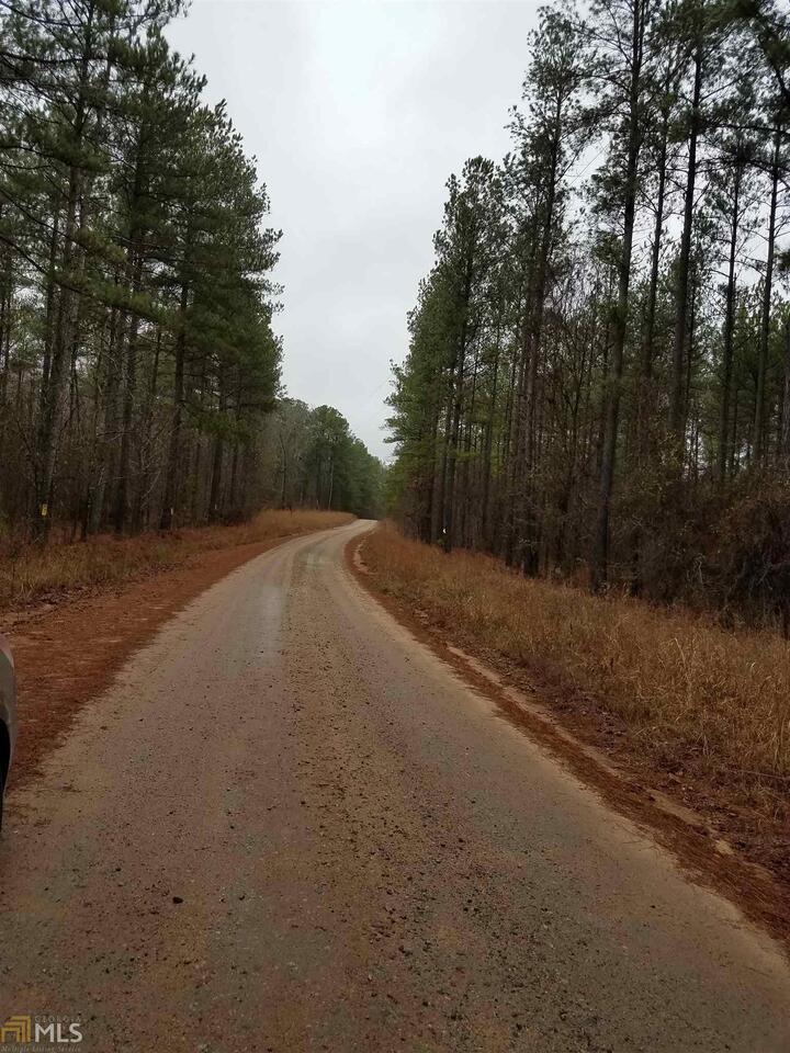 0 Firetower Road Hillsboro, GA 31038 - Photo 1 of 1 Gallery Image 1