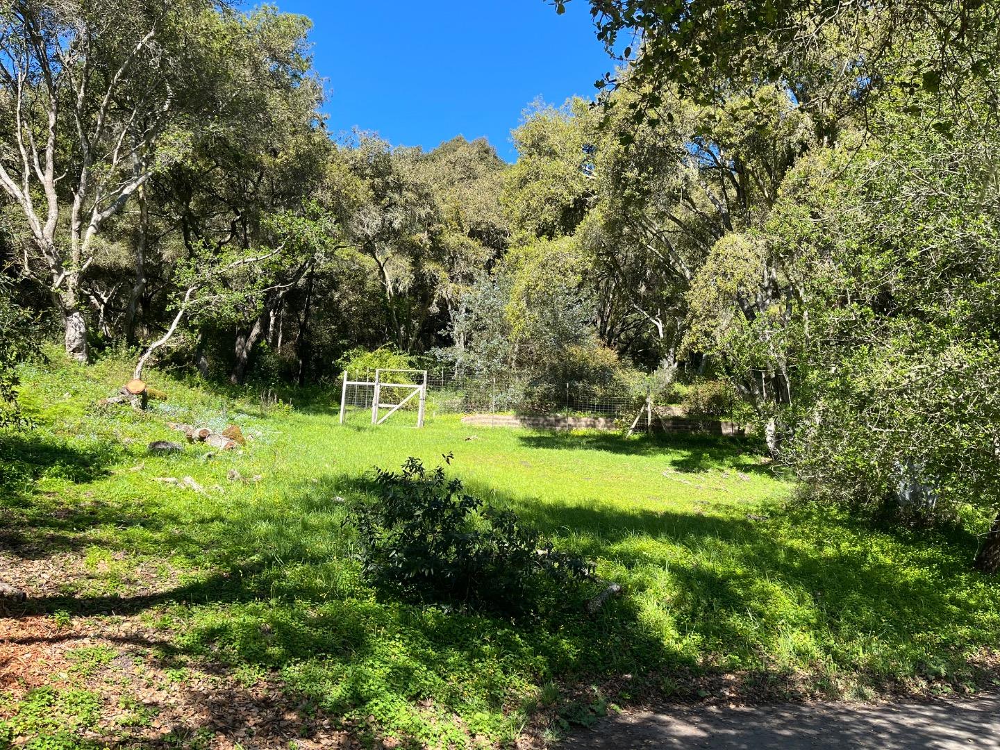 0 Baker Road Aptos, CA 95003 - Photo 29 of 29 a green field with lots of bushes