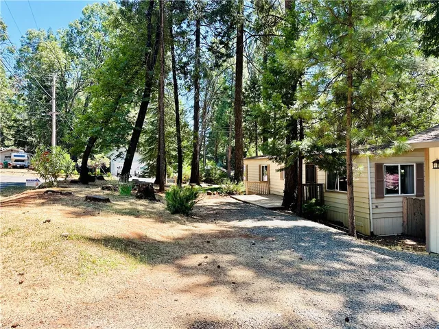 a view of a backyard with large tree