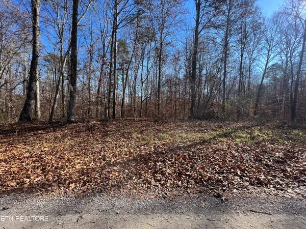 $239,900 | 1-2 Jones Ridge Road, Speedwell, TN 37870