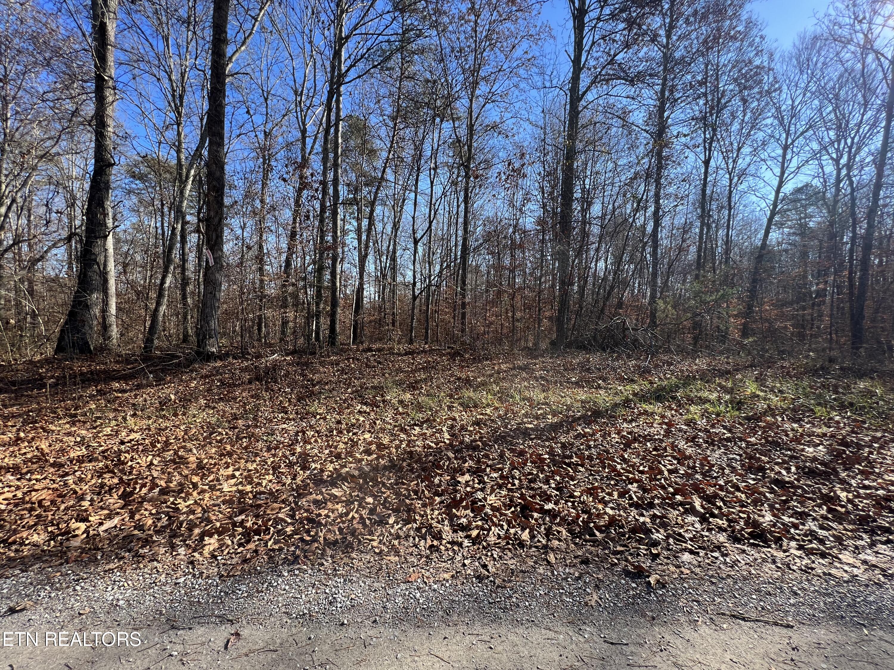 1-2 Jones Ridge Road Speedwell, TN 37870 - Photo 1 of 17 67B180C8-11BE-4F2D-81A8-1FD67C52C8C7