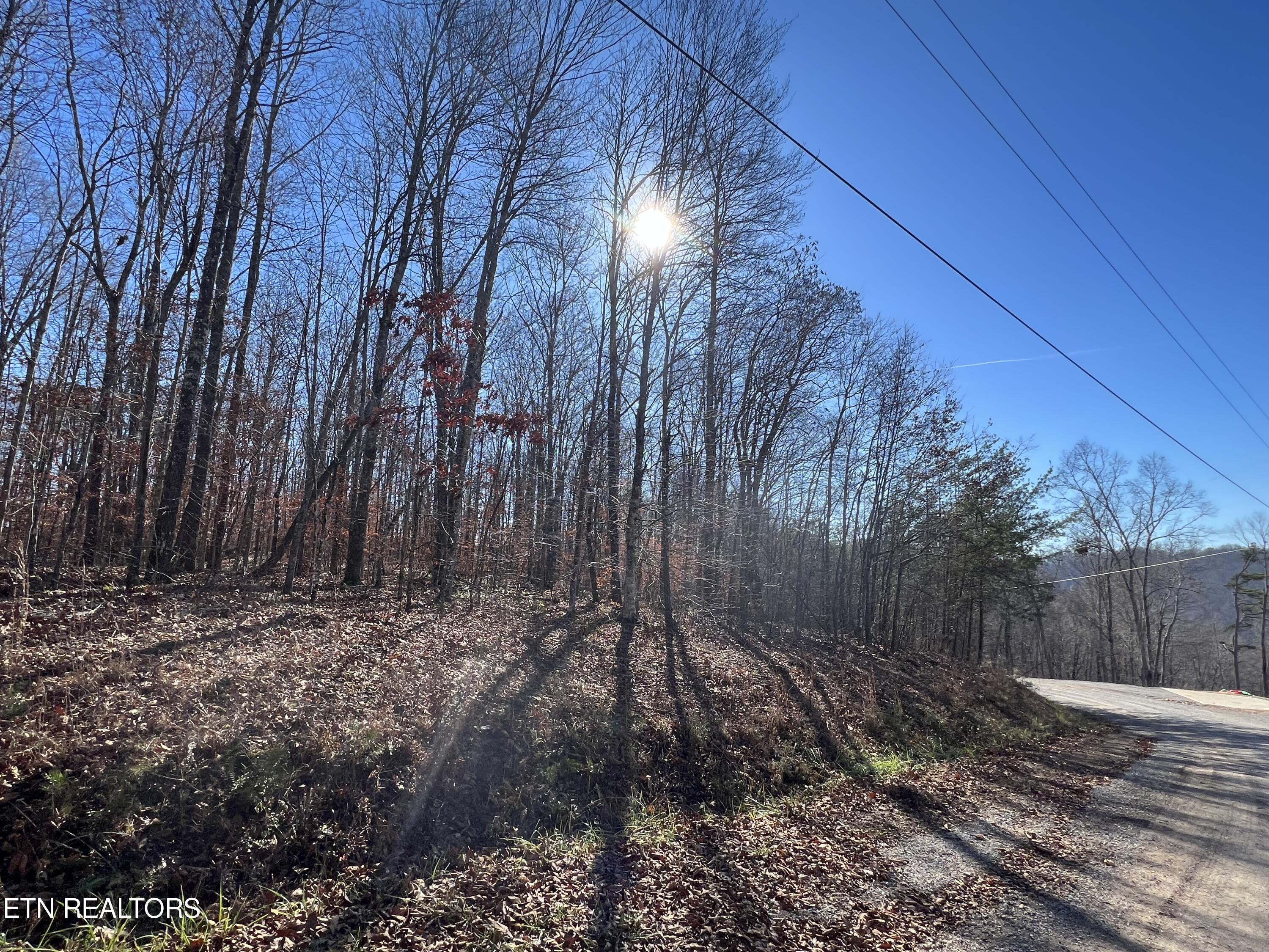 1-2 Jones Ridge Road Speedwell, TN 37870 - Photo 12 of 17 0191E477-F1FC-46D5-83C7-38006084C2C2