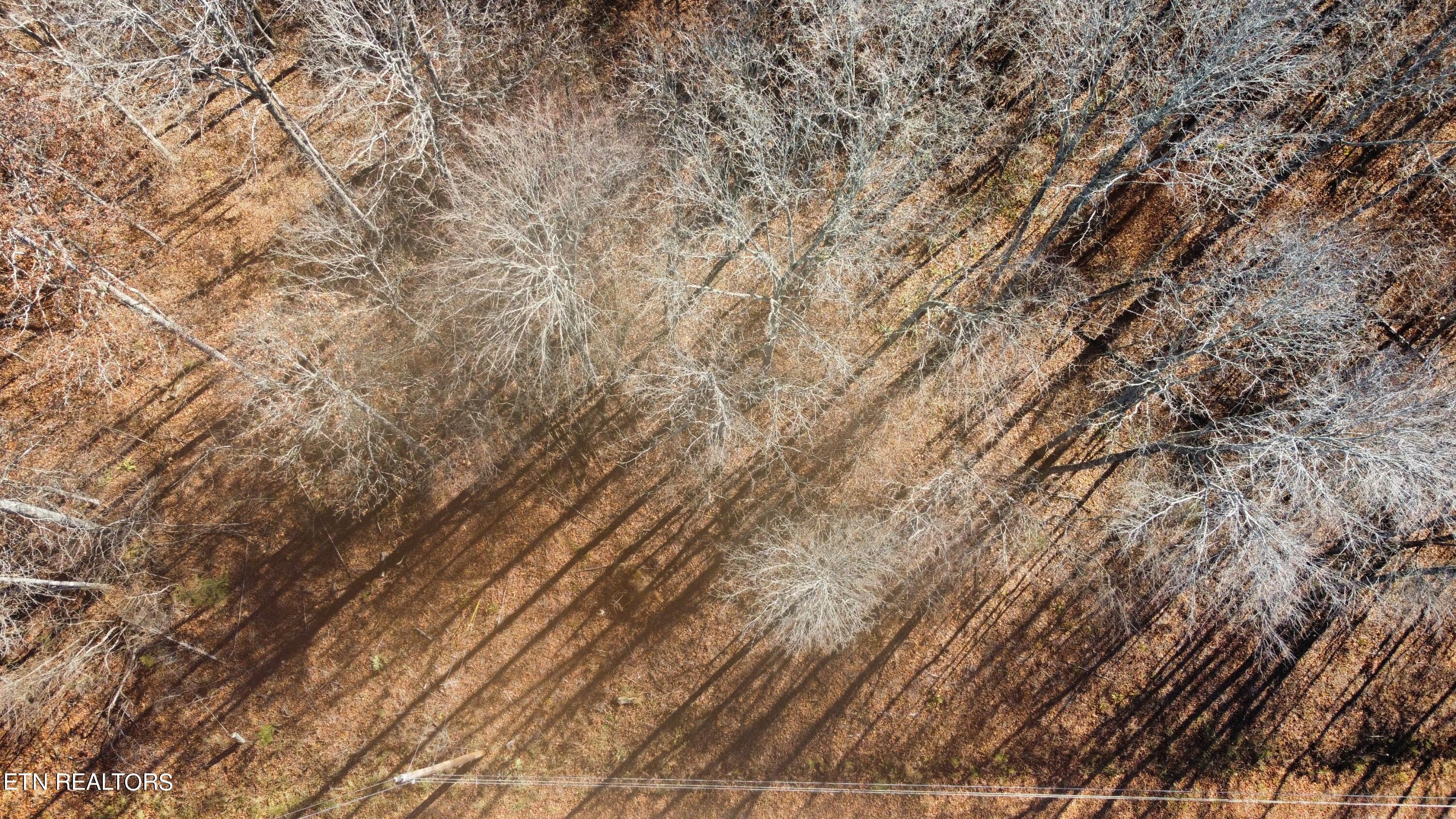 1-2 Jones Ridge Road Speedwell, TN 37870 - Photo 15 of 17 DE202C56-28BB-4628-AA00-714065A3FAAF