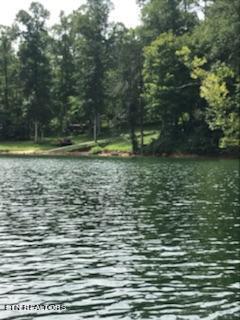 1-2 Jones Ridge Road Speedwell, TN 37870 - Photo 5 of 17 Pointe16Neighboring